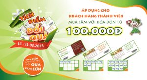 chương trình tích điểm tại siêu thị online
